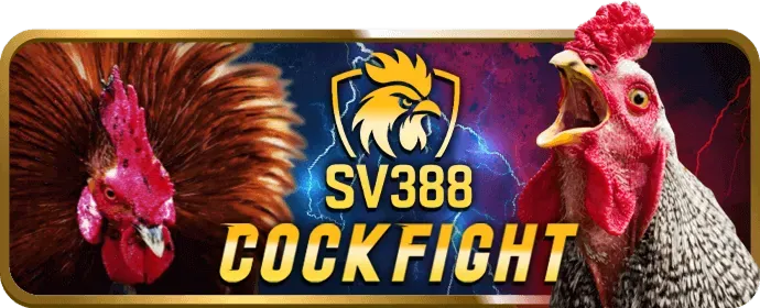 Hoàn trả thể thao hàng tuần 18bet login